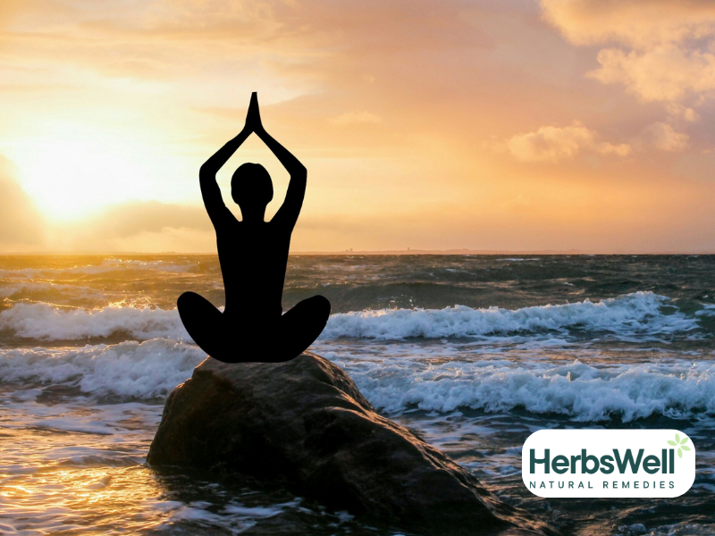 Restore, balance and boost with adaptogens: Powerful herbal remedies you need to know about!