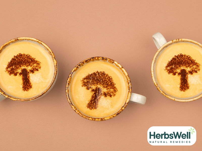 Mushroom Coffee 101 - A guide to finding your best cup