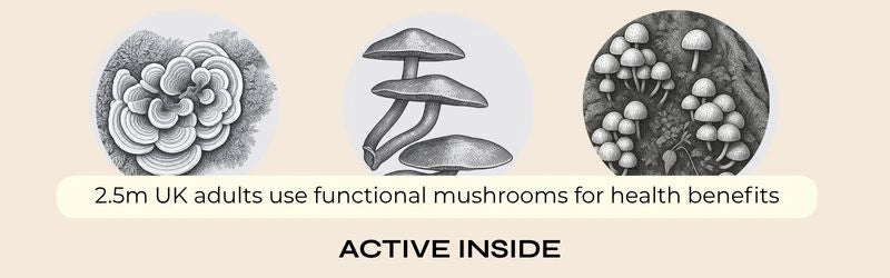Functional Mushrooms