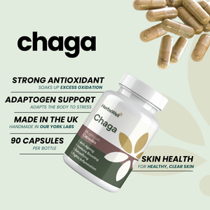 CHAGA CAPSULES