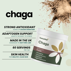 CHAGA POWDER