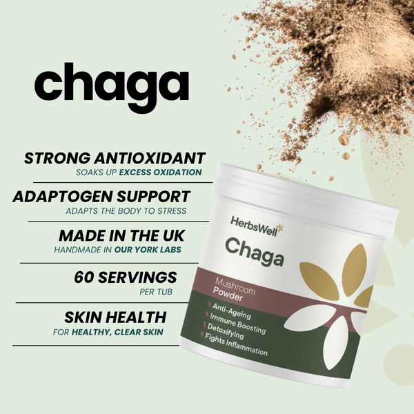 CHAGA POWDER
