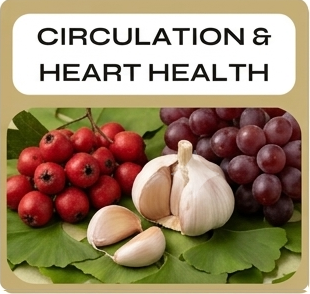 Supplements for Circulation & Heart Health