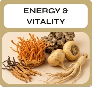 Supplements for Energy & Vitality