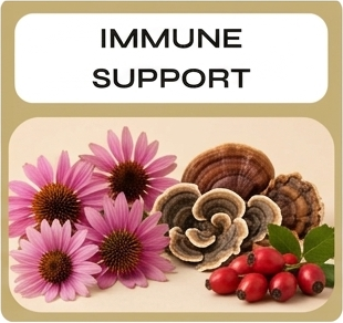 Supplements for Immune Support