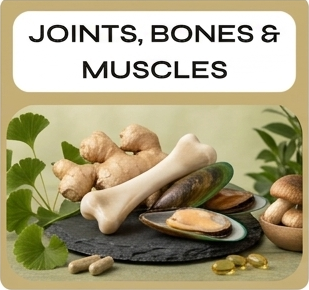 Supplements for Joint, Bone & Muscle Health
