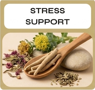 Supplements for Stress Support